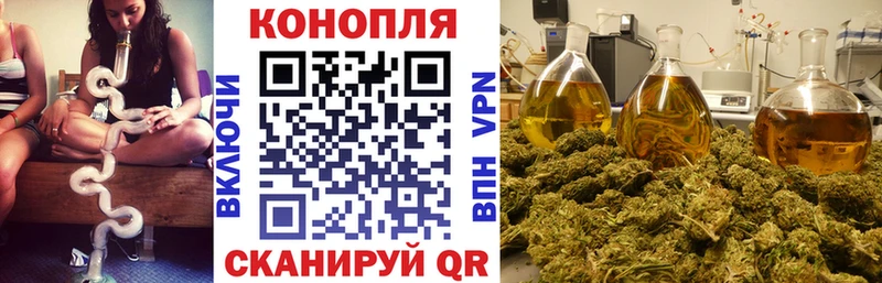 Шишки марихуана AK-47  Купить закладки  Пермь 